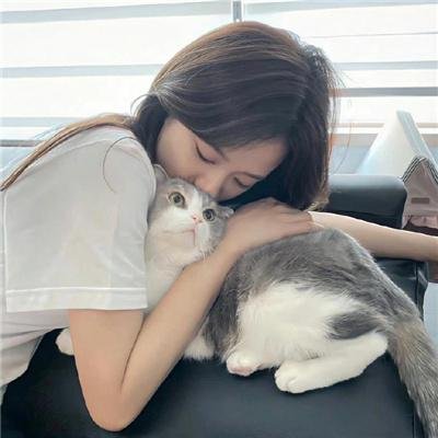 小鸡